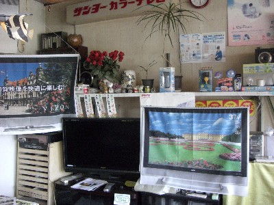 でんきのハシモト